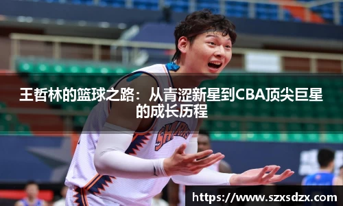 王哲林的篮球之路：从青涩新星到CBA顶尖巨星的成长历程